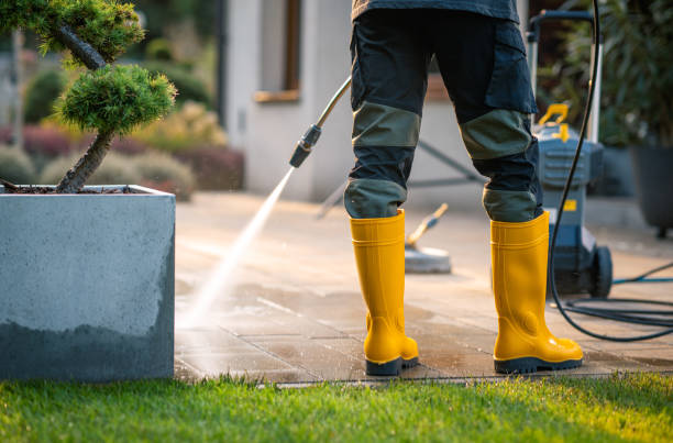 Best Local Pressure Washing Services  in Belmont, WI